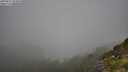 ./images/calvert/foggy-cove/20250811/foggy-cove20250811_094010M.jpg