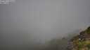 ./images/calvert/foggy-cove/20250811/foggy-cove20250811_094508M.jpg