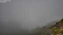 ./images/calvert/foggy-cove/20250811/foggy-cove20250811_095011M.jpg