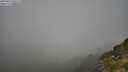 ./images/calvert/foggy-cove/20250811/foggy-cove20250811_095509M.jpg