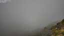 ./images/calvert/foggy-cove/20250811/foggy-cove20250811_100011M.jpg