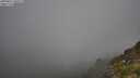 ./images/calvert/foggy-cove/20250811/foggy-cove20250811_100510M.jpg