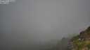 ./images/calvert/foggy-cove/20250811/foggy-cove20250811_101010M.jpg