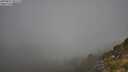 ./images/calvert/foggy-cove/20250811/foggy-cove20250811_101510M.jpg