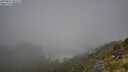 ./images/calvert/foggy-cove/20250811/foggy-cove20250811_102509M.jpg
