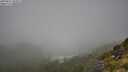 ./images/calvert/foggy-cove/20250811/foggy-cove20250811_103011M.jpg