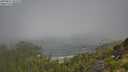 ./images/calvert/foggy-cove/20250811/foggy-cove20250811_103511M.jpg