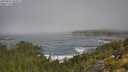 ./images/calvert/foggy-cove/20250811/foggy-cove20250811_104511M.jpg