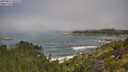 ./images/calvert/foggy-cove/20250811/foggy-cove20250811_105011M.jpg