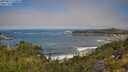 ./images/calvert/foggy-cove/20250811/foggy-cove20250811_110010M.jpg