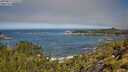 ./images/calvert/foggy-cove/20250811/foggy-cove20250811_110508M.jpg