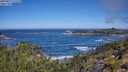 ./images/calvert/foggy-cove/20250811/foggy-cove20250811_111510M.jpg
