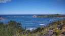 ./images/calvert/foggy-cove/20250811/foggy-cove20250811_112010M.jpg