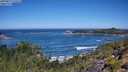 ./images/calvert/foggy-cove/20250811/foggy-cove20250811_112508M.jpg