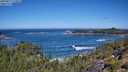 ./images/calvert/foggy-cove/20250811/foggy-cove20250811_113010M.jpg