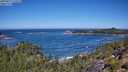 ./images/calvert/foggy-cove/20250811/foggy-cove20250811_113509M.jpg