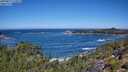 ./images/calvert/foggy-cove/20250811/foggy-cove20250811_114009M.jpg