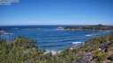 ./images/calvert/foggy-cove/20250811/foggy-cove20250811_114509M.jpg