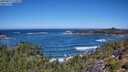 ./images/calvert/foggy-cove/20250811/foggy-cove20250811_115010M.jpg