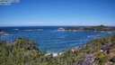 ./images/calvert/foggy-cove/20250811/foggy-cove20250811_120011M.jpg