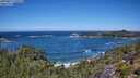 ./images/calvert/foggy-cove/20250811/foggy-cove20250811_120508M.jpg
