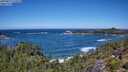 ./images/calvert/foggy-cove/20250811/foggy-cove20250811_121010M.jpg