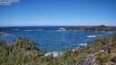 ./images/calvert/foggy-cove/20250811/foggy-cove20250811_121510M.jpg