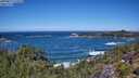 ./images/calvert/foggy-cove/20250811/foggy-cove20250811_122008M.jpg