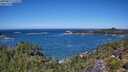 ./images/calvert/foggy-cove/20250811/foggy-cove20250811_122510M.jpg