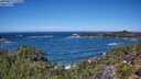 ./images/calvert/foggy-cove/20250811/foggy-cove20250811_123510M.jpg