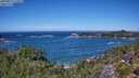 ./images/calvert/foggy-cove/20250811/foggy-cove20250811_124510M.jpg