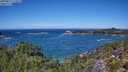 ./images/calvert/foggy-cove/20250811/foggy-cove20250811_125012M.jpg