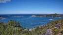 ./images/calvert/foggy-cove/20250811/foggy-cove20250811_125509M.jpg