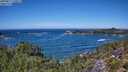./images/calvert/foggy-cove/20250811/foggy-cove20250811_130011M.jpg