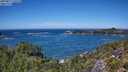 ./images/calvert/foggy-cove/20250811/foggy-cove20250811_131511M.jpg