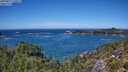 ./images/calvert/foggy-cove/20250811/foggy-cove20250811_132011M.jpg