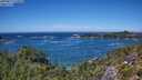 ./images/calvert/foggy-cove/20250811/foggy-cove20250811_133010M.jpg
