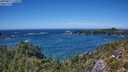 ./images/calvert/foggy-cove/20250811/foggy-cove20250811_142010M.jpg