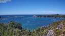 ./images/calvert/foggy-cove/20250811/foggy-cove20250811_144509M.jpg