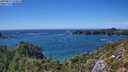 ./images/calvert/foggy-cove/20250811/foggy-cove20250811_154010M.jpg