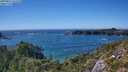./images/calvert/foggy-cove/20250811/foggy-cove20250811_161510M.jpg