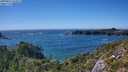 ./images/calvert/foggy-cove/20250811/foggy-cove20250811_162511M.jpg