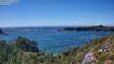 ./images/calvert/foggy-cove/20250811/foggy-cove20250811_163509M.jpg