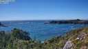 ./images/calvert/foggy-cove/20250811/foggy-cove20250811_164511M.jpg