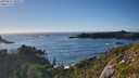 ./images/calvert/foggy-cove/20250811/foggy-cove20250811_184511M.jpg