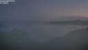 ./images/calvert/foggy-cove/20250812/foggy-cove20250812_054008M.jpg