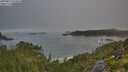 ./images/calvert/foggy-cove/20250812/foggy-cove20250812_073010M.jpg