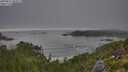 ./images/calvert/foggy-cove/20250812/foggy-cove20250812_082011M.jpg