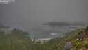 ./images/calvert/foggy-cove/20250812/foggy-cove20250812_090011M.jpg