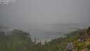 ./images/calvert/foggy-cove/20250812/foggy-cove20250812_092009M.jpg